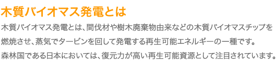 ～木質バイオマス発電とは～