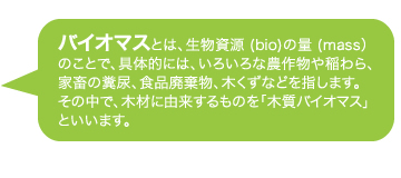 バイオマスとは、生物資源 (bio)の量 (mass）
のことで、具体的には、いろいろな農作物や稲わら、
家畜の糞尿、食品廃棄物、木くずなどを指します。
その中で、木材に由来するものを「木質バイオマス」といいます。
