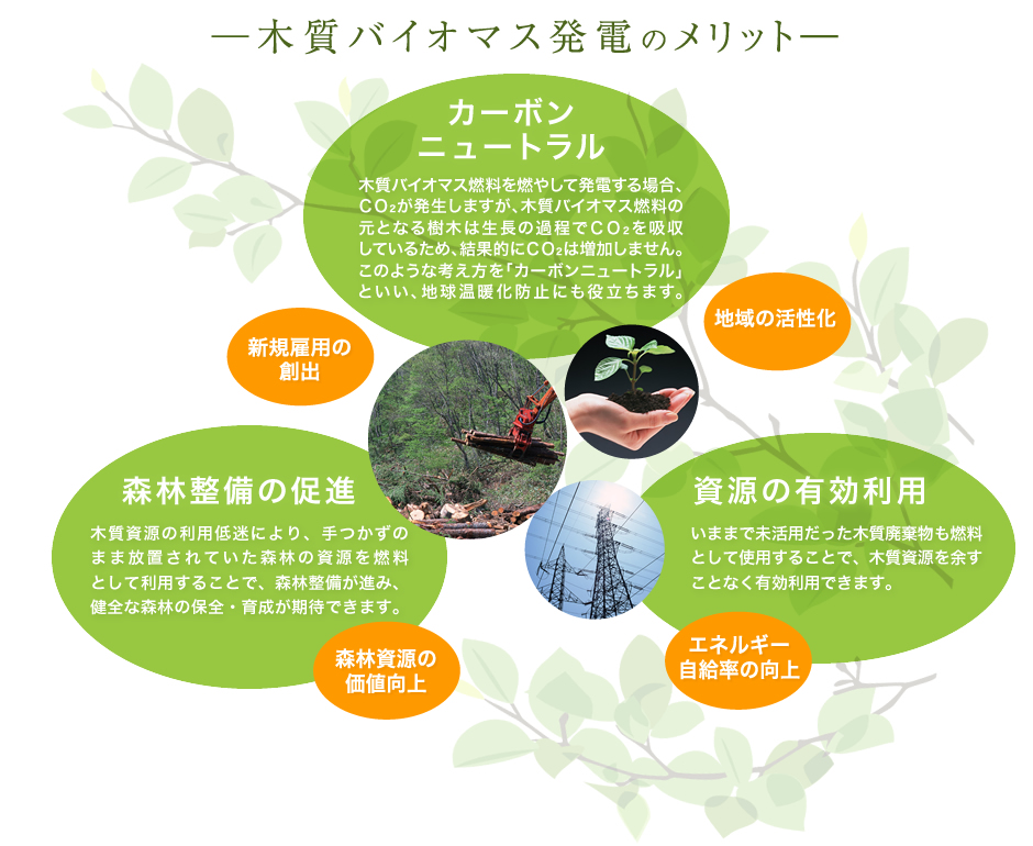―木質バイオマス発電のメリット―